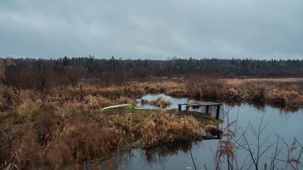 Antigo cais de madeira rústico em um lago tranquilo com gramíneas selvagens na margem e reflexões sobre a água