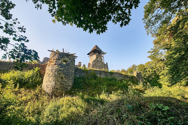 Antigo castelo medieval em ruínas com torre nos Cárpatos perto de Uzhgorod