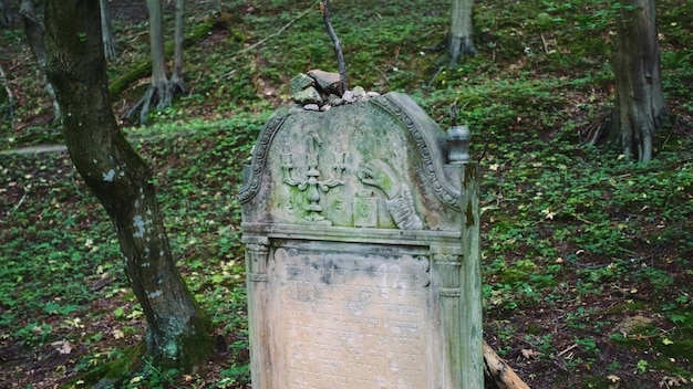 Foto antigo cemitério com lápides judias
