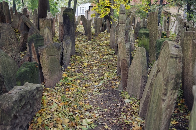 Antigo cemitério judeu em Praga