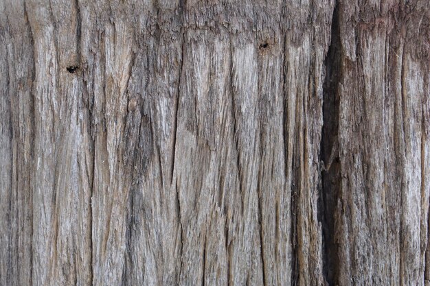 Antigo fundo de madeira com rachaduras naturais