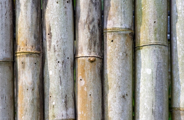 Antigo fundo de textura de cerca de bambu