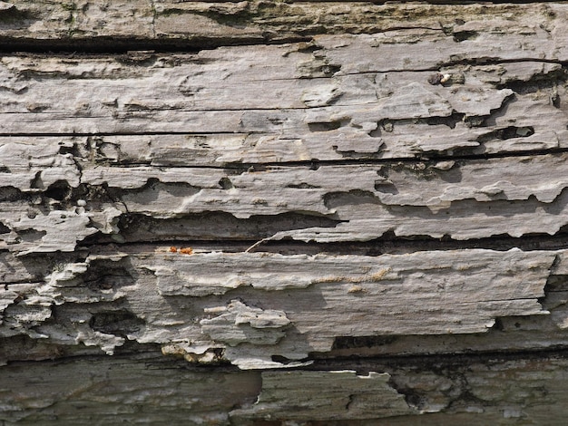 Antigo fundo de textura de madeira