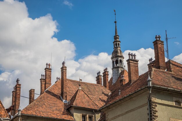 Foto antigo telhado de telhas vermelhas com chaminés do castelo de caça do conde shenborn na aldeia de carpaty