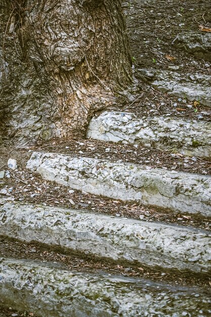 Antigos degraus de concreto em ruínas destruídos