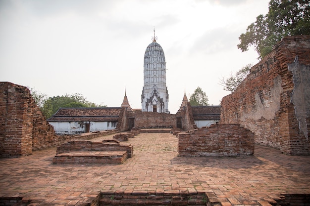 antigua arquitectura de budismo stupa en Ayuthaya, Tailandia