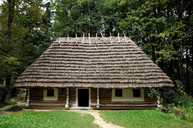 Antigua cabaña de madera cubierta con paja