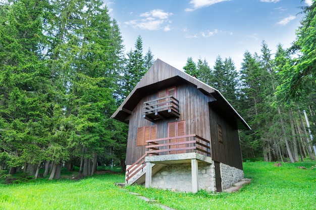 Antigua casa de madera en el bosque