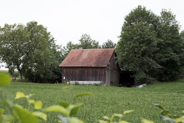 Antigua casa de madera cerca del campo en Europa