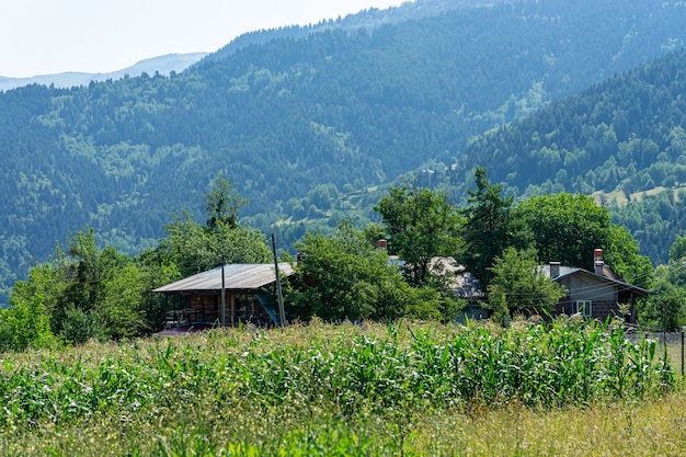 Antigua casa de madera en Savsat, provincia de Artvin, Turquía