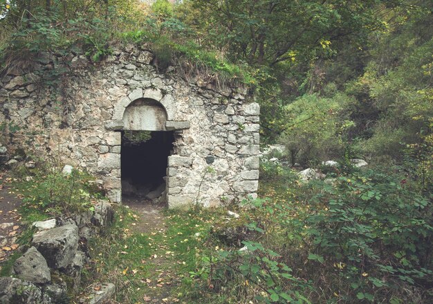 Antigua casa en la naturaleza