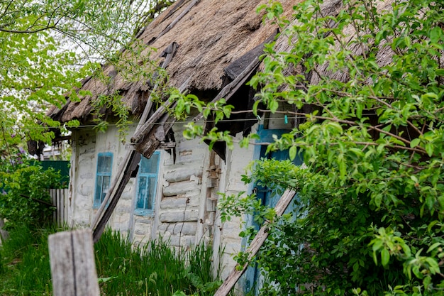 Antigua casa rural de estilo rural ucraniano. Casa con techo de totora. El techo de las cañas. Valla de mimbre (valla de zarzo) cerca de la cabaña.