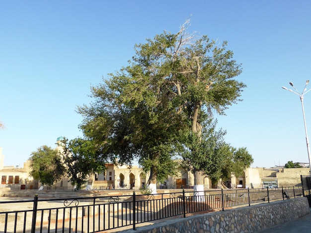 Antigua ciudad de Bukhara en Uzbekistán