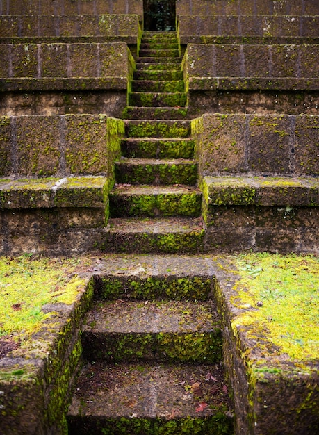 Antigua construcción de piedra cubierta de musgo verde