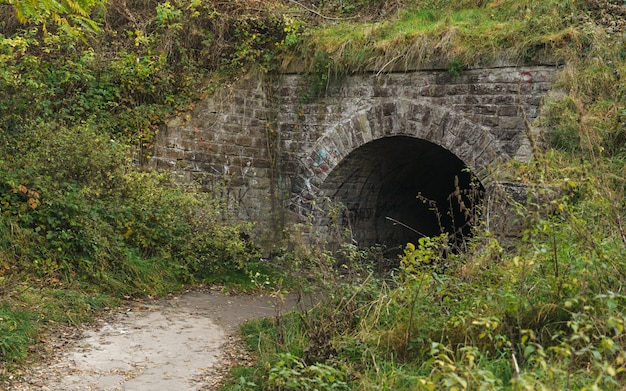 Antigua entrada del túnel subterráneo en el bosque cubierto de hierba