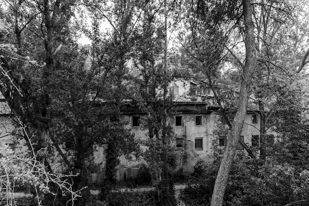 Foto antigua fábrica abandonada en el cauce del río en banyeres de mariola en blanco y negro, alicante, españa.