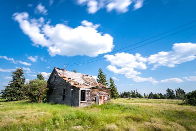 Antigua granja abandonada rodeada de árboles, hierba alta y cielo azul