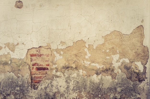 Foto antigua muralla con fondo de grietas