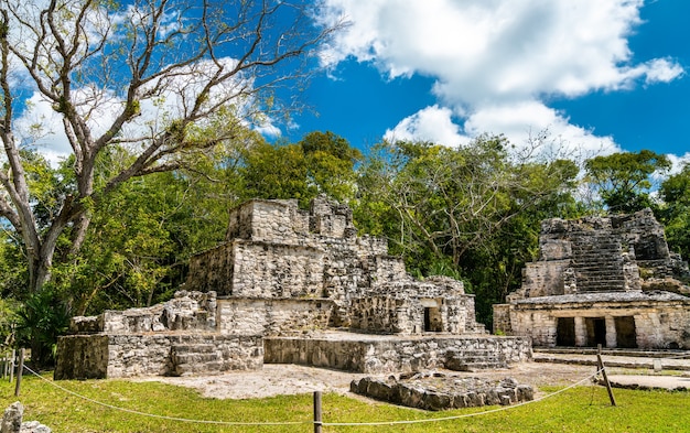 Antigua pirámide maya en el sitio de Muyil en Quintana Roo, México.