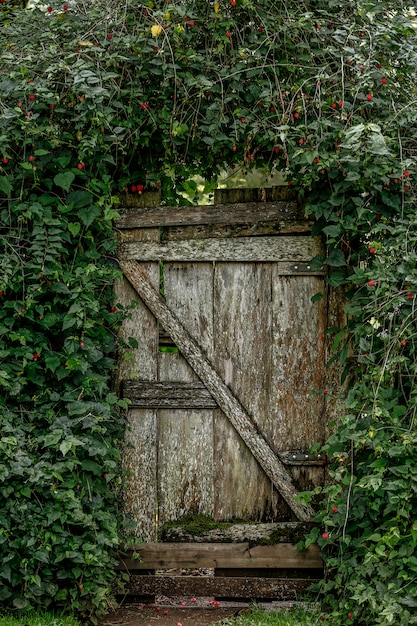 Antigua puerta de jardín, flanqueada por vid