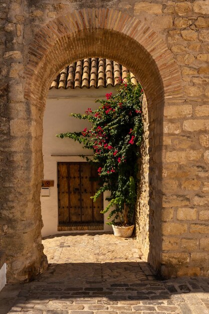 Antigua puerta de la muralla de Vejer de la Frontera Cádiz Andalucía