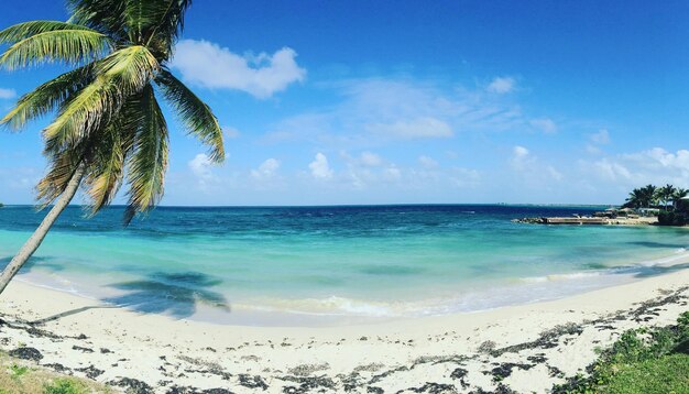 Foto antigua, uma bela praia.