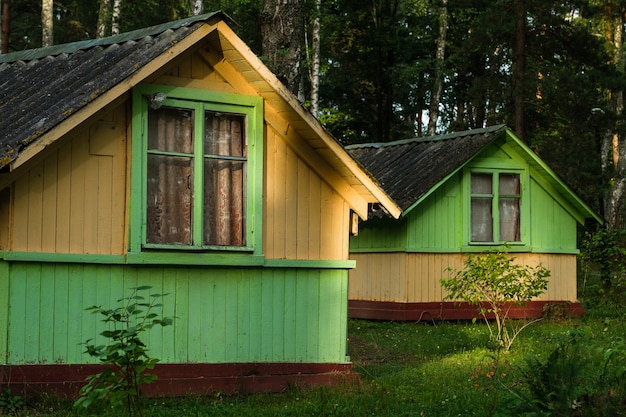 Antiguas casas de madera en el bosque de abedules y pinos.