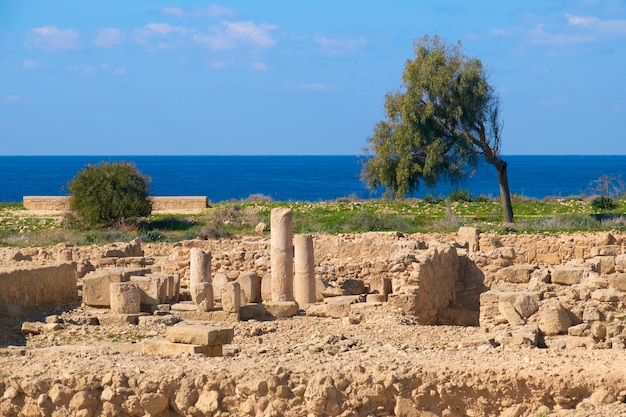Antiguas columnas del templo en Kato, Paphos, Chipre