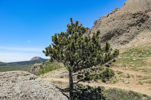 Antiguas montañas altas de piedra caliza de forma redondeada en la neblina del aire El Valle de los Fantasmas Demerji Rusia