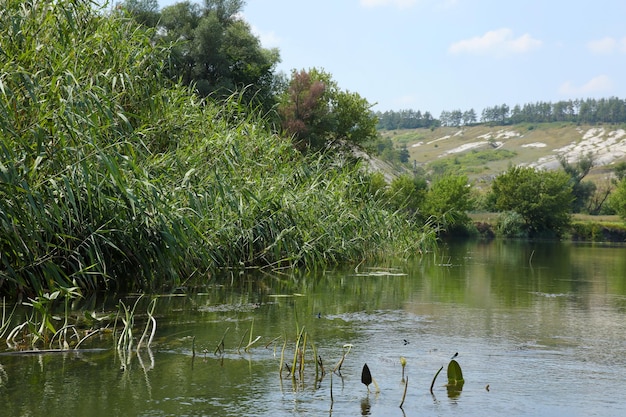 Antiguas montañas de tiza multimillonarias en la superficie de la estepa de la tierra