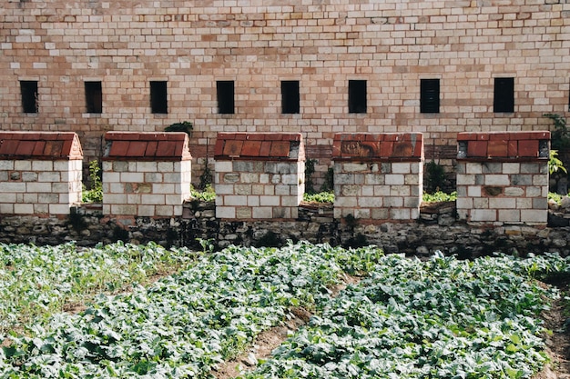 Foto las antiguas murallas de constantinopla en estambul, turquía