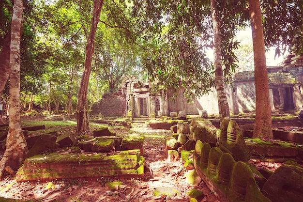 Antiguas ruinas de la civilización jemer de Angkor, cerca de Siem Reap, Camboya