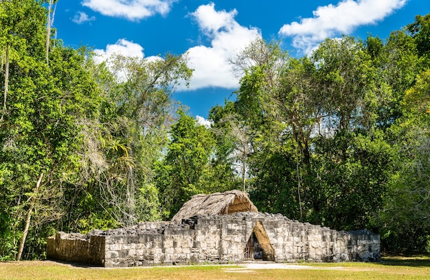 Antiguas ruinas mayas de Tikal. Patrimonio mundial de la UNESCO en Guatemala