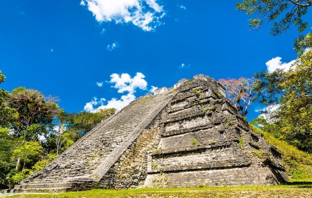 Antiguas ruinas mayas de Tikal. Patrimonio mundial de la UNESCO en Guatemala