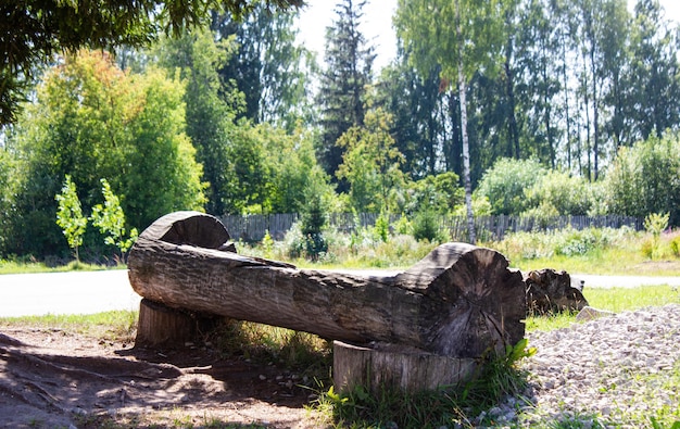 Antiguo banco de troncos en la naturaleza