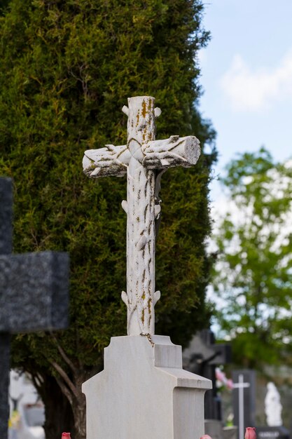 antiguo cementerio con tumbas en lugar santo español