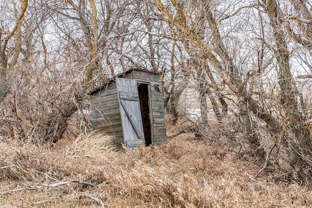 Antiguo cobertizo de madera en los árboles en el campo de la pradera en Saskatchewan Canadá