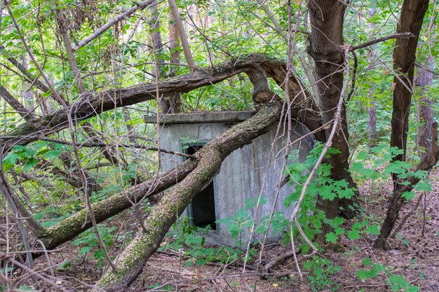 Antiguo edificio de ladrillo abandonado y en ruinas con vidrios rotos de yeso desgastado de marcos de madera tejas parcialmente derrumbadas y puerta tapiada con suelo cubierto de hierba