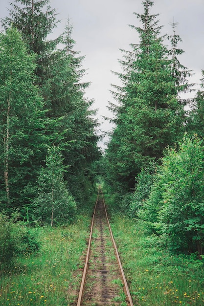 Antiguo ferrocarril de vía estrecha en los Cárpatos