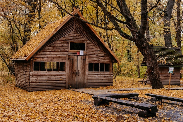 Foto antiguo granero en otoño