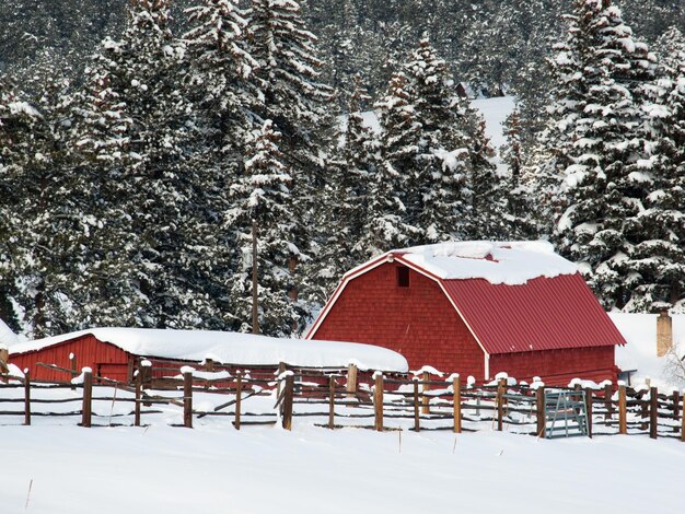 Antiguo granero rojo después de la tormenta de nieve en Evergreen, Colorado.