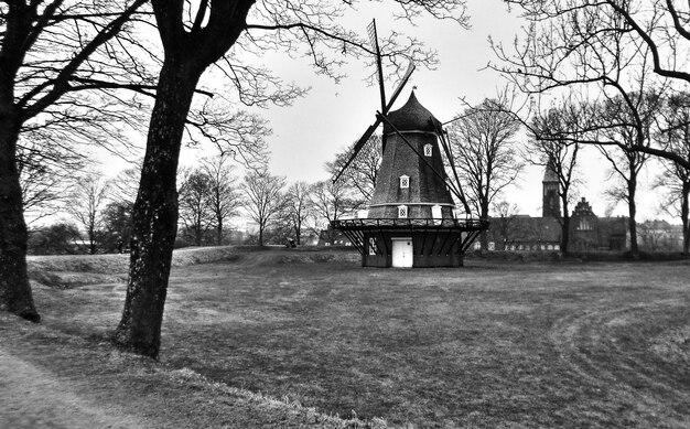 Foto antiguo molino de viento por árbol