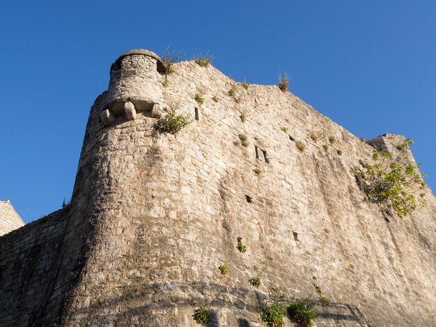 Antiguo muro de la fortaleza con plantas verdes en la ciudad vieja de Budva en Montenegro