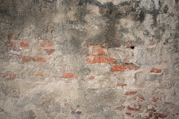 antiguo muro de hormigón