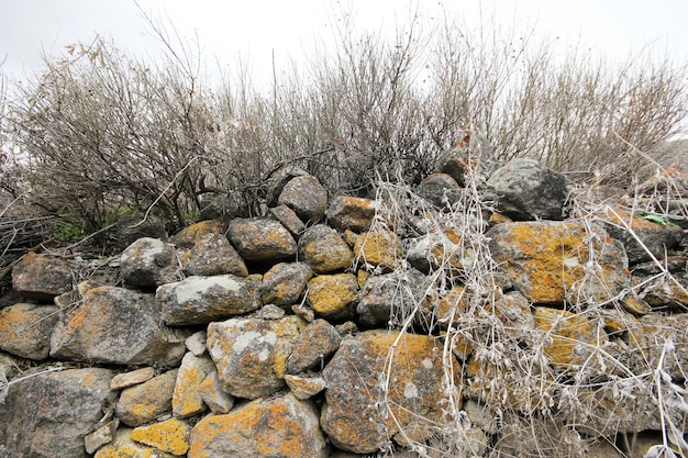 antiguo muro de piedra del jardín