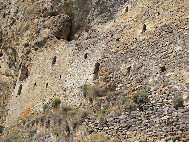 Antiguo muro de piedra natural con fondo de plantas