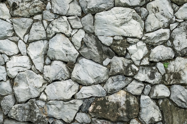 Foto antiguo muro de piedra en el parque