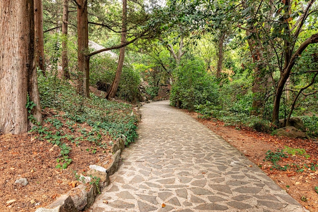 Un antiguo parque con densa vegetación y un camino peatonal.