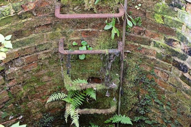 Antiguo pozo de piedra con escaleras de hierro Antiguo pozo cubierto de musgo y hierba