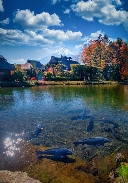 Foto el antiguo pueblo de oshino hakkai con el monte fuji en la temporada de otoño en el distrito de minamitsuru prefectura de yamanashi japón